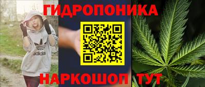 прущая мука Будённовск