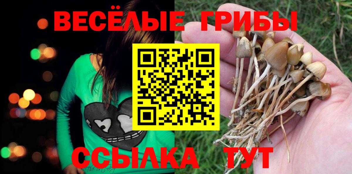 Псилоцибиновые грибы мицелий  Псилоцибиновые грибы прущие грибы  Наро-Фоминск  Вход с VPN 